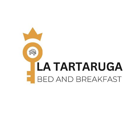 شقة La Tartaruga سيينا المظهر الخارجي الصورة